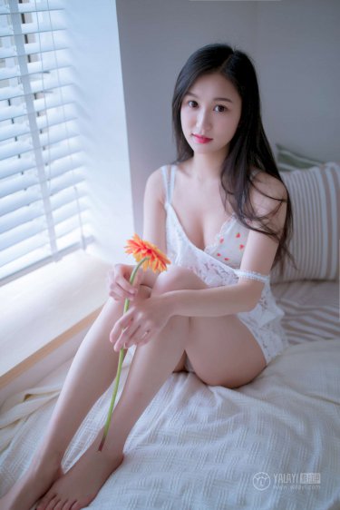 岳母的简介