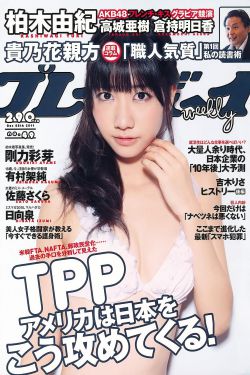 风流寡妇