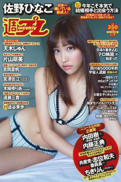 啄木鸟满天星系列的产品特点